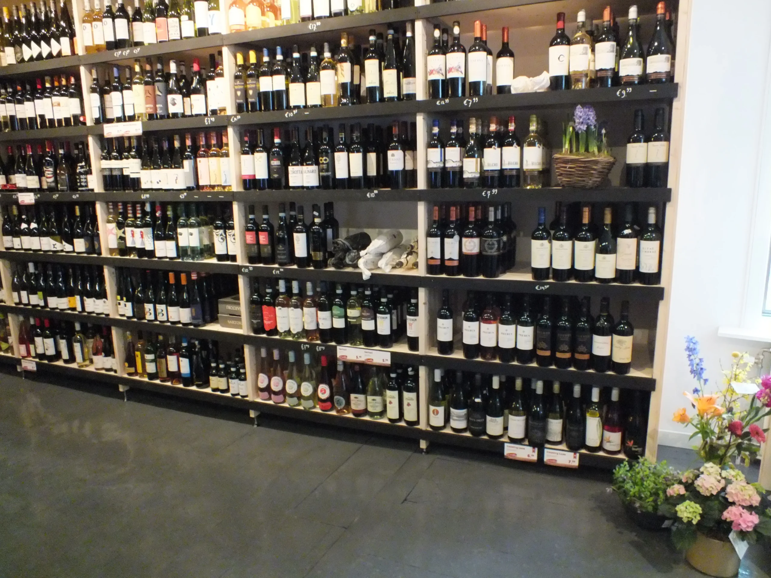 Brumorek - Beginrek - Afbeelding 3